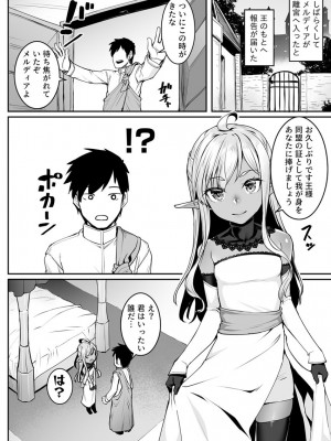 [エリア14 (かせい)]  エッチなエルフとの暮らし方7巻 ～ダークエルフの姫君といちゃこらックス～  [DL版]_06