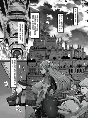 [ダイジョビ研究所 (ロブ☆スター)] マレイヌ王国の淫らな日常 [DL版] [中国翻訳]_004