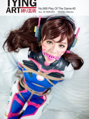 [TyingArt] Mizuho - D.Va_032_668_1