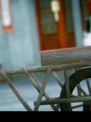 [Mr. Carrot] 淩薇 3_0107