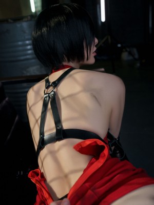 Vinnegal - Ada Wong_22