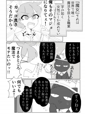 [破壊大帝国 (よろず)]   シーメール&メス男子合同誌 C's HAVEN3 玉 [DL版]_152
