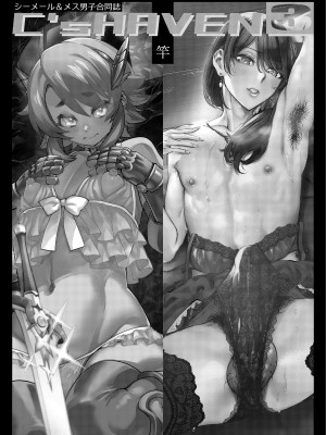 [破壊大帝国 (よろず)]  シーメール&メス男子合同誌 C's HAVEN3 竿 [DL版]_003