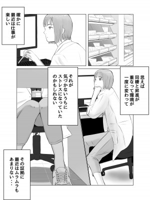 [バッドエンドドリーマー] ハメ堕とし2 〜地獄の始まり、キメセクネトラレ〜_11
