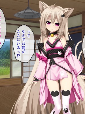[どろっぷす! ] ねこ神様の結婚 ～田舎でにゃんにゃん搾精ライフ～_007