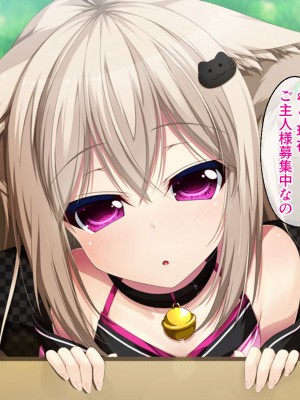 [どろっぷす! ] ねこ神様の結婚 ～田舎でにゃんにゃん搾精ライフ～_005