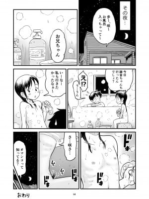 [Lithiumの個人サークル (Lithium)] 田中くんが僕たちの前で兄妹セックスした日のこと_64