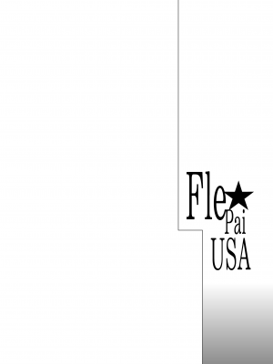 [常時無常 (篠塚醸二)] Fle★Pai USA (艦隊これくしょん -艦これ-) [DL版]_02
