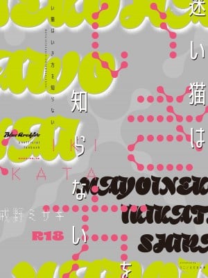 [えだまめ亭 (うこ)] 迷い猫はいき方を知らない (ブルーアーカイブ) [欶澜汉化组] [DL版]_25