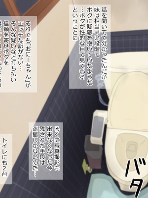 [たけし] 小型カメラで妹を盗撮したら_075