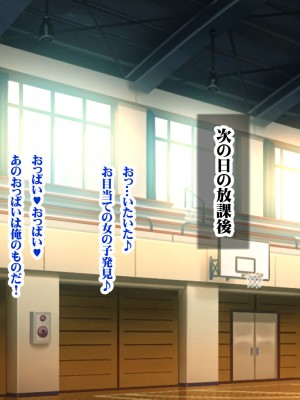 (同人CG集)[シロクロドン] 政府特例種付け許可公認 種付けナンバー 巨乳すぎるお嬢様全員生ハメ中出し放題 ドスケベ学園祭編_030