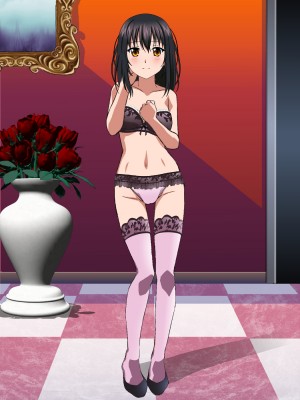 [コロロフ] 姫〇雪菜とラブラブHするCG集XXIV 極上・魅惑の娼館編 前編 (ストライク・ザ・ブラッド)_617
