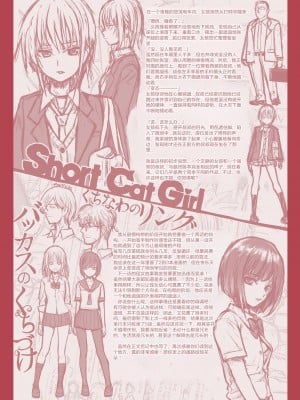 [40010試作型] プロトタイプティーンズ [無修正]_195