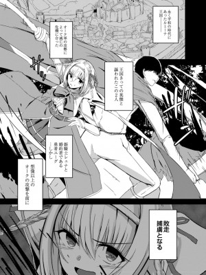 コミックリブート COMIC Reboot Vol. 12_345