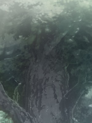 [可老] ヒル○ャールの肉床～波沫の章～_ZHEula08_0018