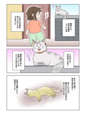 アナンガ・ランガ Vol. 101_295
