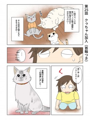 アナンガ・ランガ Vol. 101_293