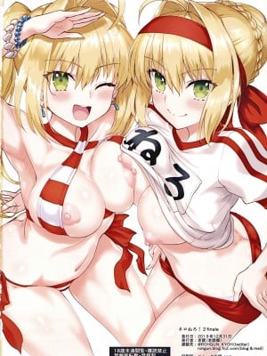 (C97) [老眼郷 (老眼)] ネロねろ！2 finale (Fate／Grand Order)[ExtraAi个人汉化]_33