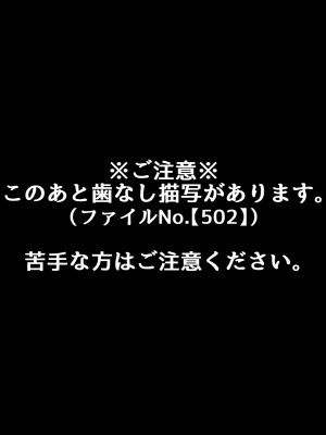 [530 (Roche)] 催眠教団に奪われるボテ腹編 ～大切な彼女たちが教祖様の子を産むお話～_137