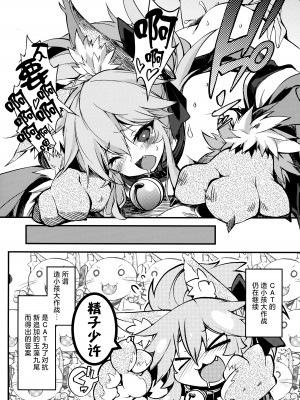 (C102) [トマト缶詰 (トマトマト)]  きゃっとちゃんぱこぱこ種付性活 (Fate／Grand Order) [白杨汉化组]_05