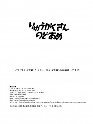 [りゅうかくさんのどあめ (極太眉毛)] スケベ下着のノアとマリーの折本 (ブルーアーカイブ)_12