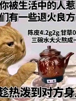 [もふもふ苑 (空色れん)] 幻様【まほろさま】+ 日常漫画 [中国翻訳]_13