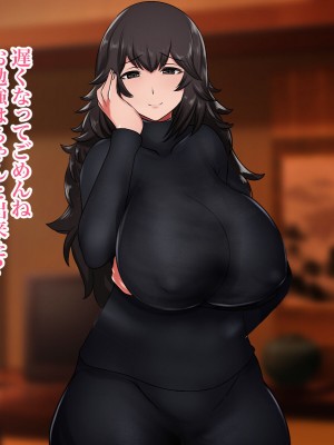 [ハスラーズ] 過保護なお母さんに性教育を受けて母子相姦するだけの毎日_013