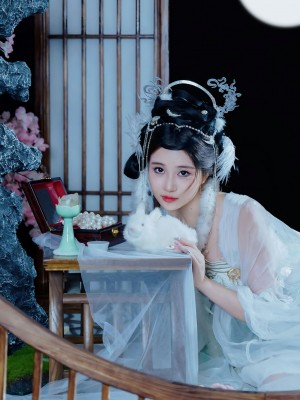 年年 嫦娥仙子_image (7)