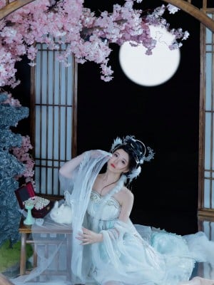 年年 嫦娥仙子_image (10)