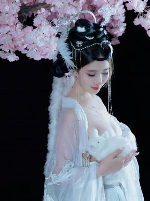 年年 嫦娥仙子_image (31)