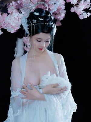 年年 嫦娥仙子_image (33)