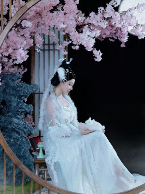 年年 嫦娥仙子_image (34)