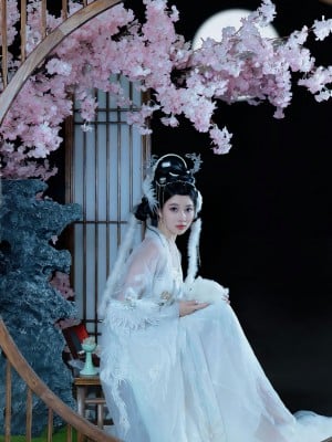 年年 嫦娥仙子_image (35)