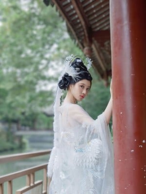 年年 嫦娥仙子_image (39)