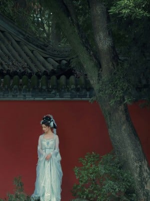 年年 嫦娥仙子_image (41)
