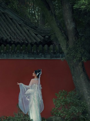 年年 嫦娥仙子_image (42)
