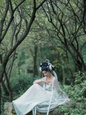 年年 嫦娥仙子_image (45)