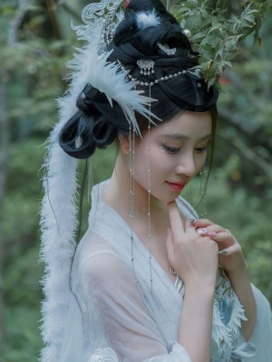 年年 嫦娥仙子_image (48)