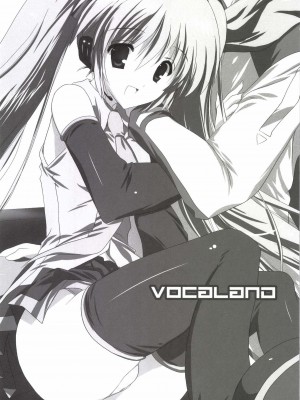 [こりすや (こりす)] こりすやVOCALOID総集編 (VOCALOID) [2012年2月15日][V家骨科传奇个人汉化]_010