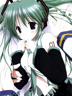 [こりすや (こりす)] こりすやVOCALOID総集編 (VOCALOID) [2012年2月15日][V家骨科传奇个人汉化]_006
