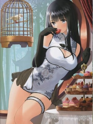 (C101) [T2 ART WORKS (Tony)] チャイナドレス好 (Tony MAGAZINE 09)_08