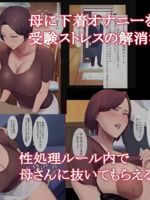 [ターミナスアクア] 僕が大好きな母さんで性処理していた結果 1 [中国翻訳]_003