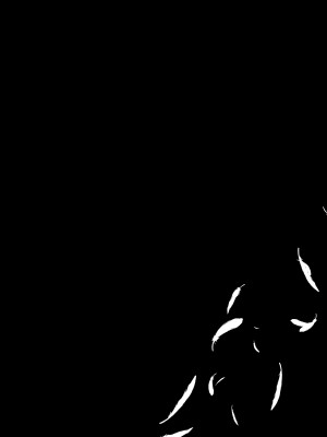 [chimere／marie (ウゲツ)] 鴉狩り (Fate／Grand Order) [DL版]_20