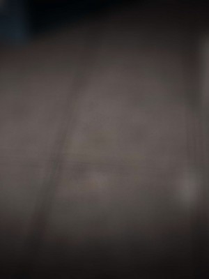 [zis] 女警01-02_02_184