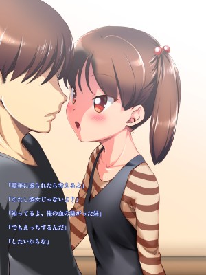 [かじむらマーケット (かじむらカジマ)]妹NN日記2-まいんだいあり2- 毎年妊娠子作り兄妹_NN02_203