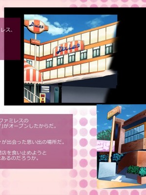 (同人CG集) [サークルめでをい] 寝取られネネさん_0004