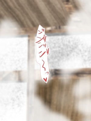 [裏ドラ満貫] 飛んで火に入る・・・_244