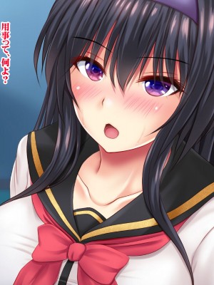 [シロクロドン] 政府特例種付け許可公認 種付けナンバーカード 巨乳すぎるお嬢様全員生ハメ中出し放題 妊婦ハーレム編_006