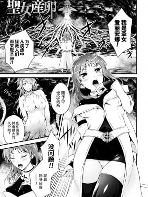 [あっきー] 聖女淫辱 [DL版] [胸垫汉化组]_04