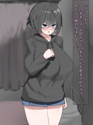 [Carnivora Canidae (ねこもくいぬか)] 無口な引きこもり妹をレイプしたらラブラブになった話_221